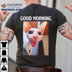 Good Morning Sphynx Cat Graphic Tshirt