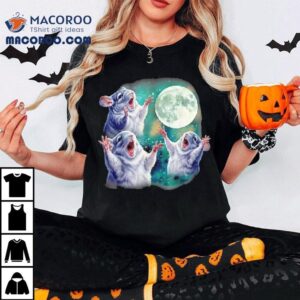 Three Chinchillas Howling At The Moon Cute Animal Meme Tshirt