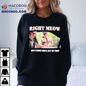 Broken Lizard Right Meow Do I Look Like Cat To You Shirt