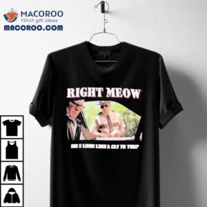 Broken Lizard Right Meow Do I Look Like Cat To You Tshirt