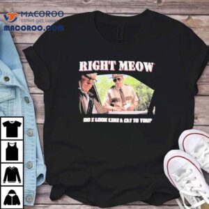 Broken Lizard Right Meow Do I Look Like Cat To You Tshirt