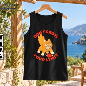 Winged orange cartoon cat with grumpy eyes, bone details, and red Don't Cross Your Limit lettering