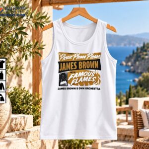James Brown Famous Flames vintage music shirt design with gold lettering, black banner, flames, and portrait