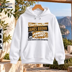 James Brown Famous Flames vintage music shirt design with gold lettering, black banner, flames, and portrait
